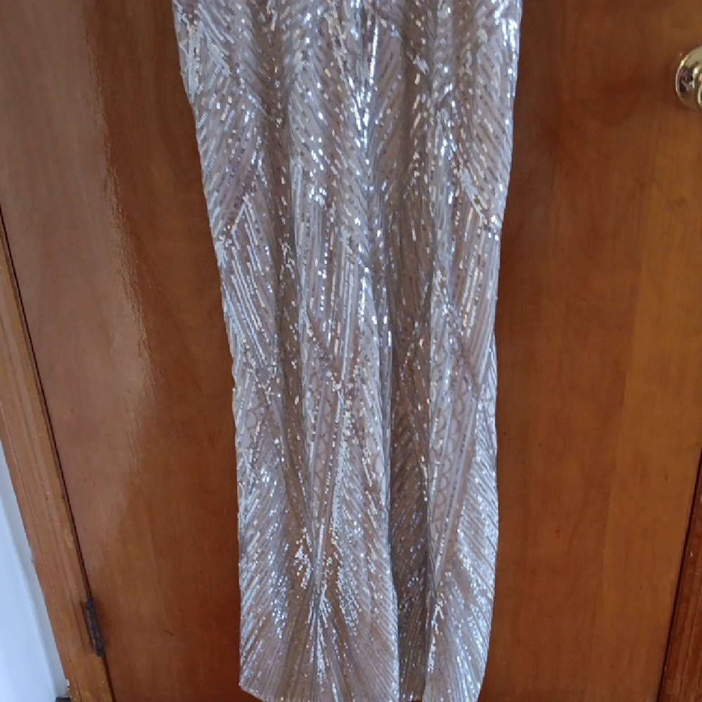 Champagne Silver Sequin Gown - Picture 8 of 10
